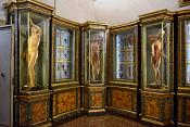 museo di anatomia umana bologna 8-2022 4733